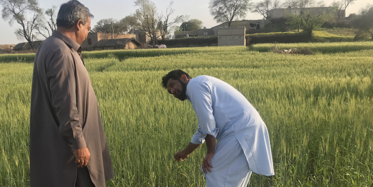 GrowSafe, Agricultural Services